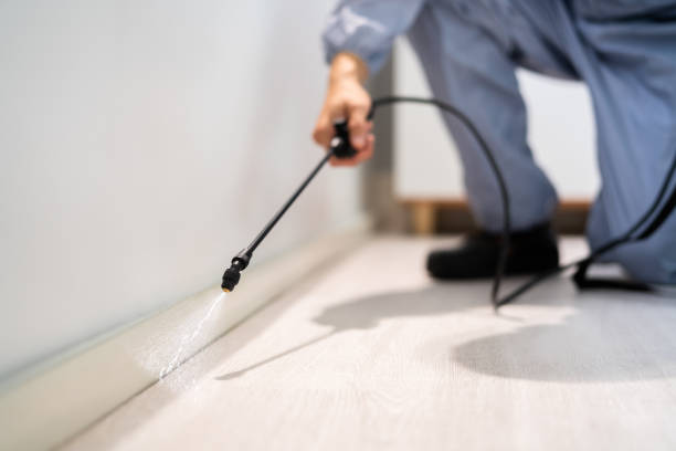 Licensed Fumigation Services service in Muttontown, NY - Nex Pest Control
