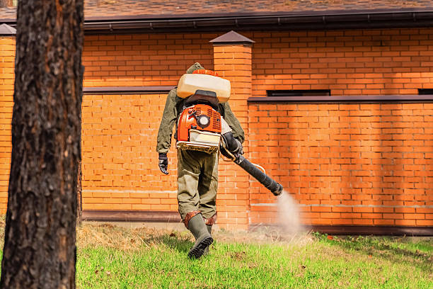 Trusted Cockroach Control service in Muttontown, NY - Nex Pest Control
